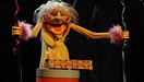 The Stuffed Puppet Theatre